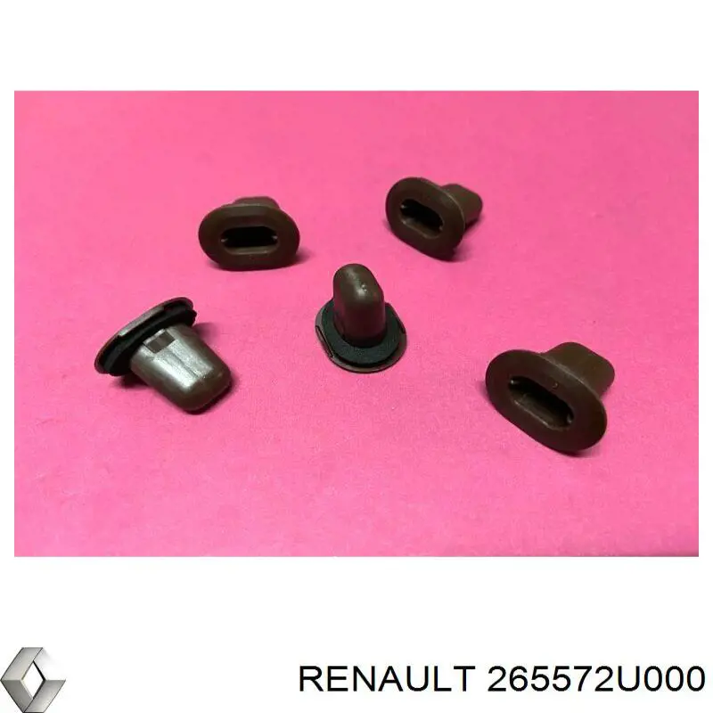  Renault (RVI) 265572U000 precio, desde 4,25 EUR