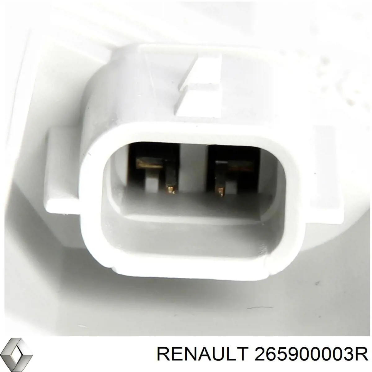 265900003R Renault (RVI)