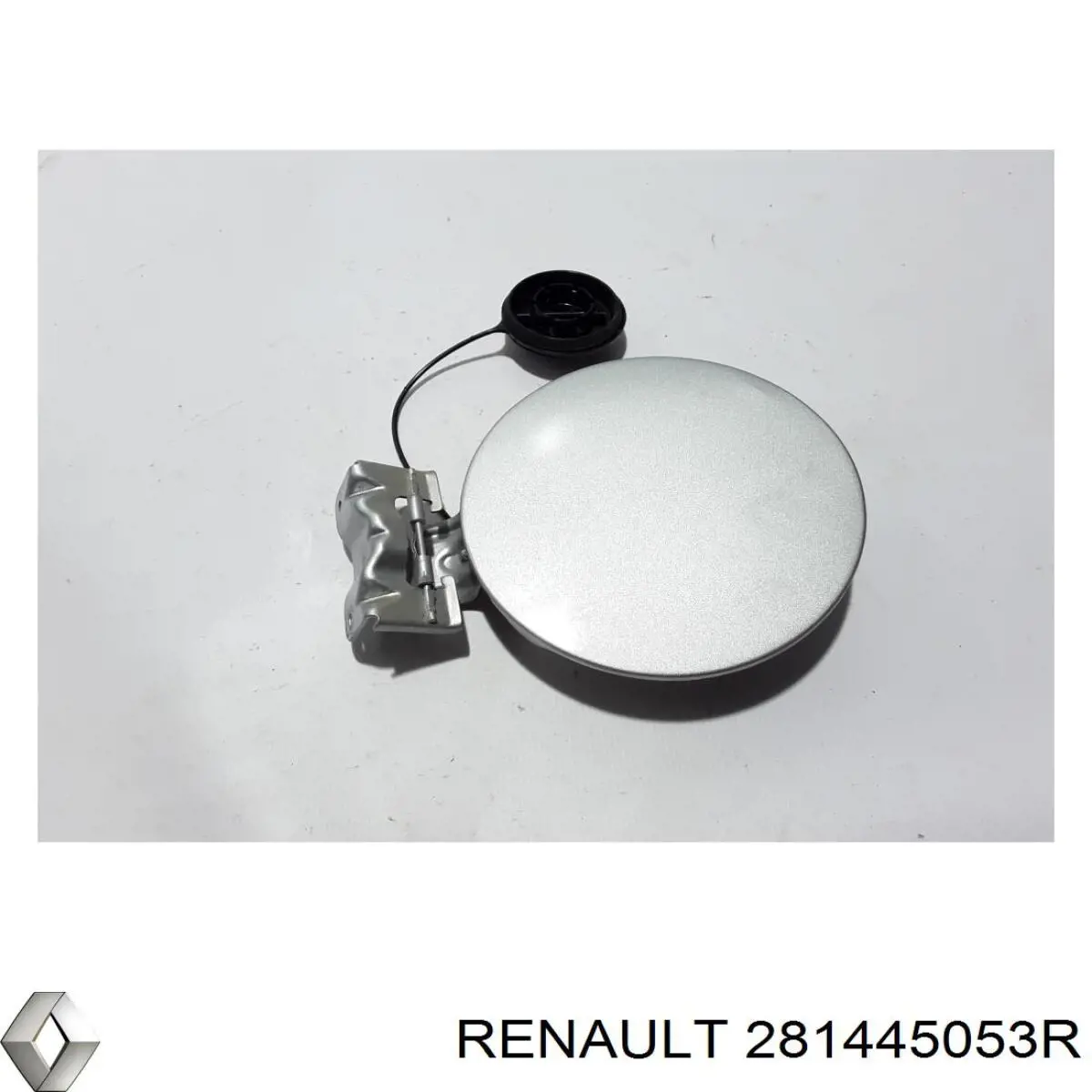 281445053R Renault (RVI)