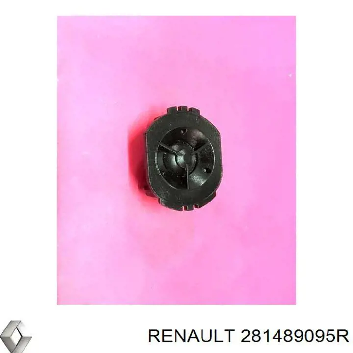 Altavoz de salpicadero Renault (RVI) 281489095R precio, desde 19,42 EUR