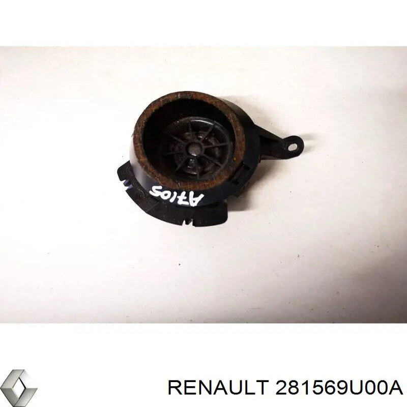 281569U00A Renault (RVI)