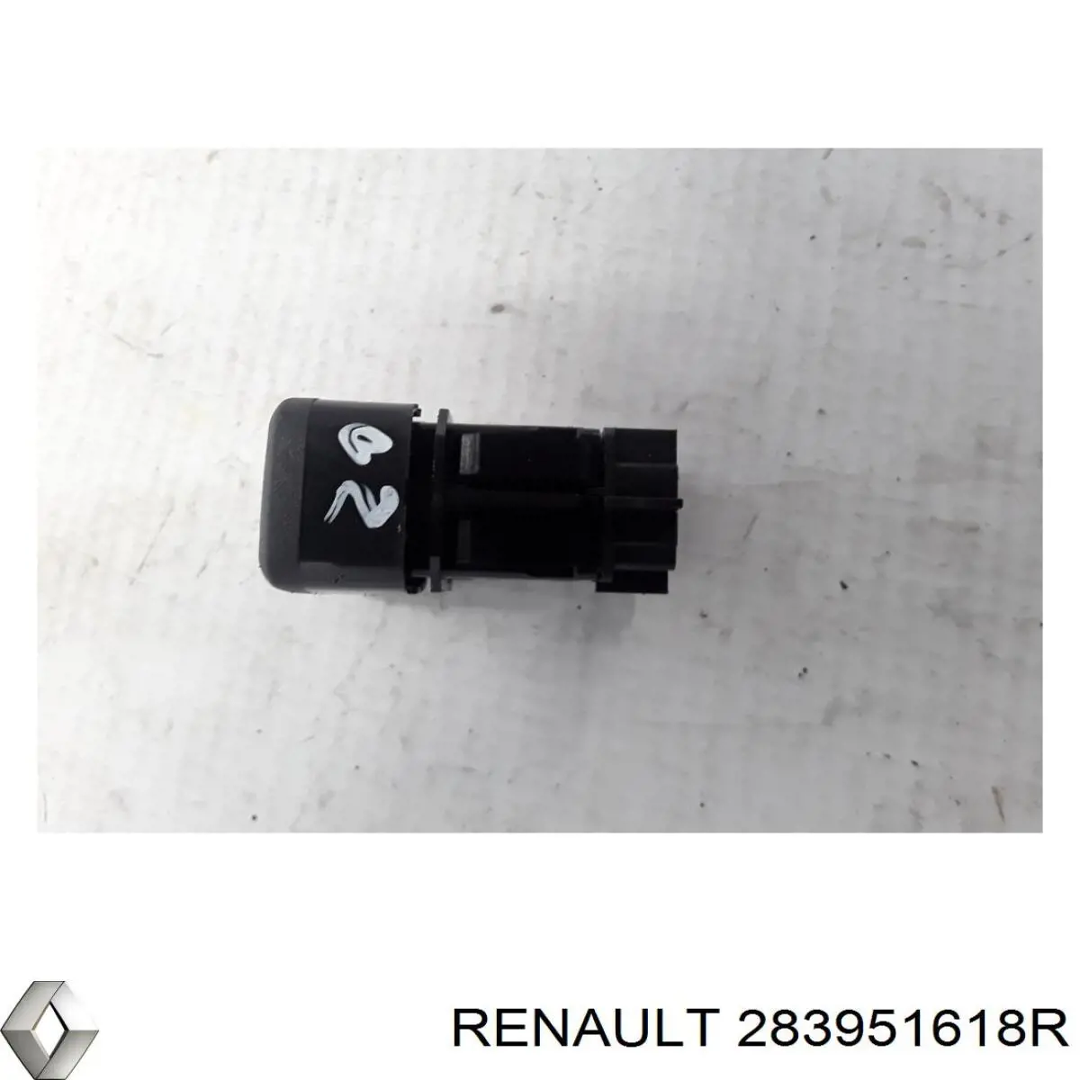 283951618R Renault (RVI)