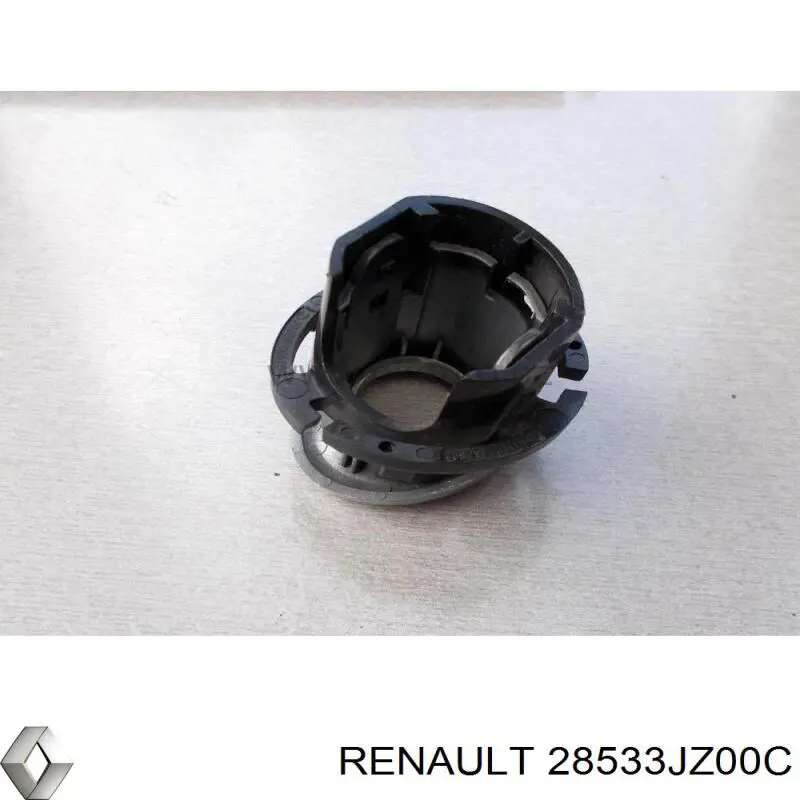 28533JZ00C Renault (RVI)