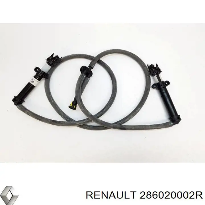 286020002R Renault (RVI) 