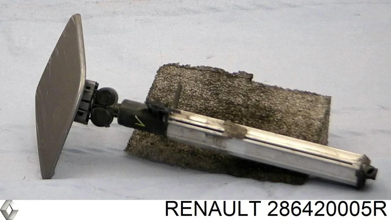 286420005R Renault (RVI)