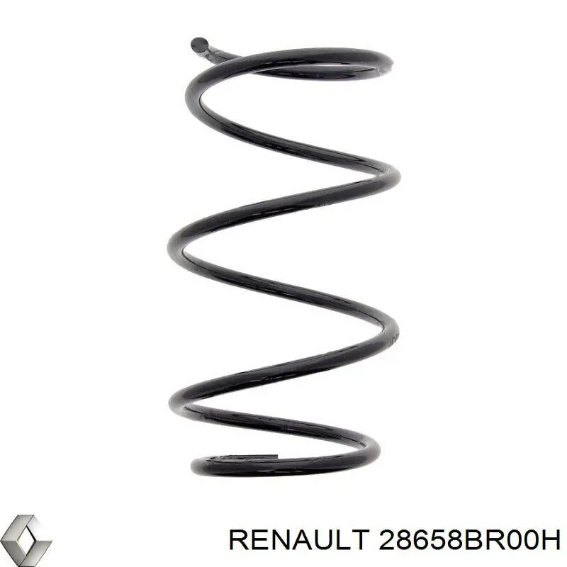 Tapa de la boquilla del lavafaros delantero 28658BR00H Renault (RVI)