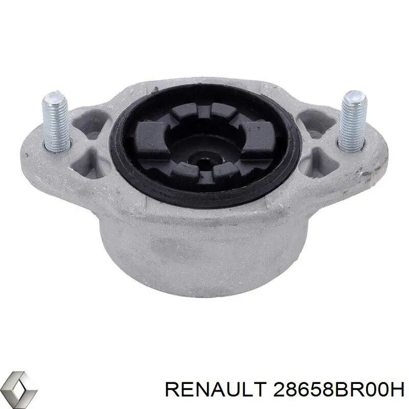 Tapa de la boquilla del lavafaros delantero Renault (RVI) 28658BR00H precio, desde 13,45 EUR