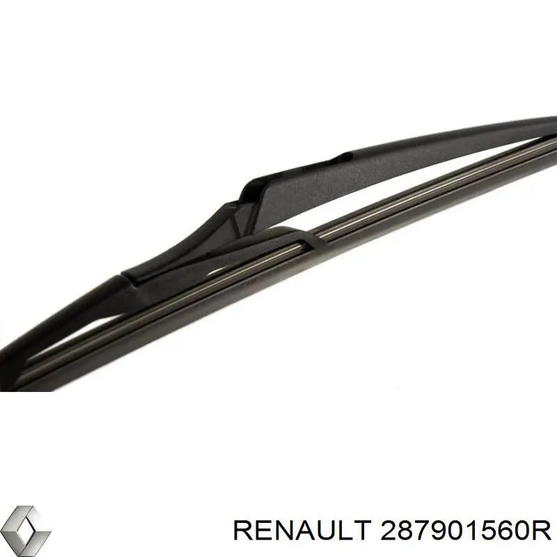 287901560R Renault (RVI)