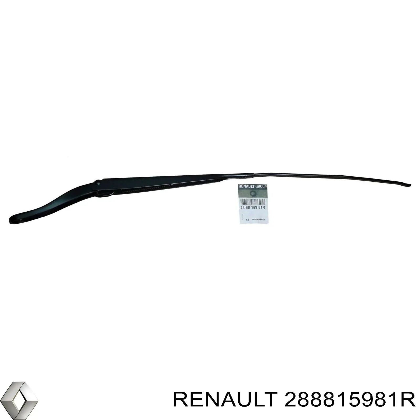 Brazo de limpiaparabrisas Renault (RVI) 288815981R precio, desde 43,56 EUR