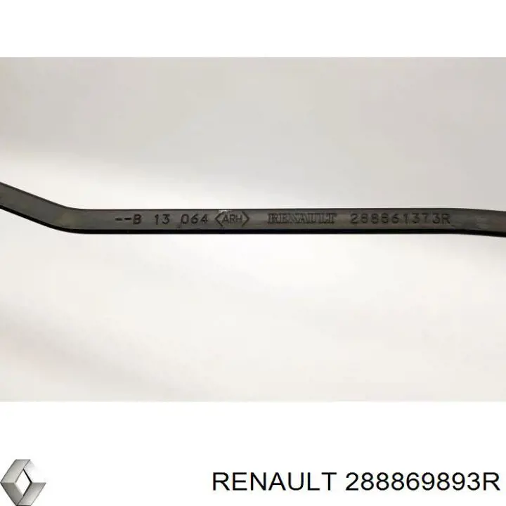 288869893R Renault (RVI)