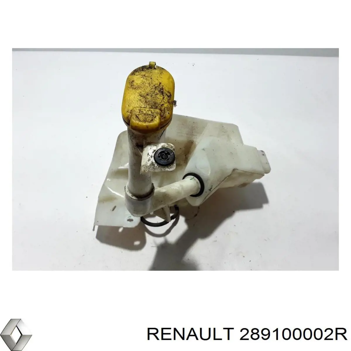 289100002R Renault (RVI)