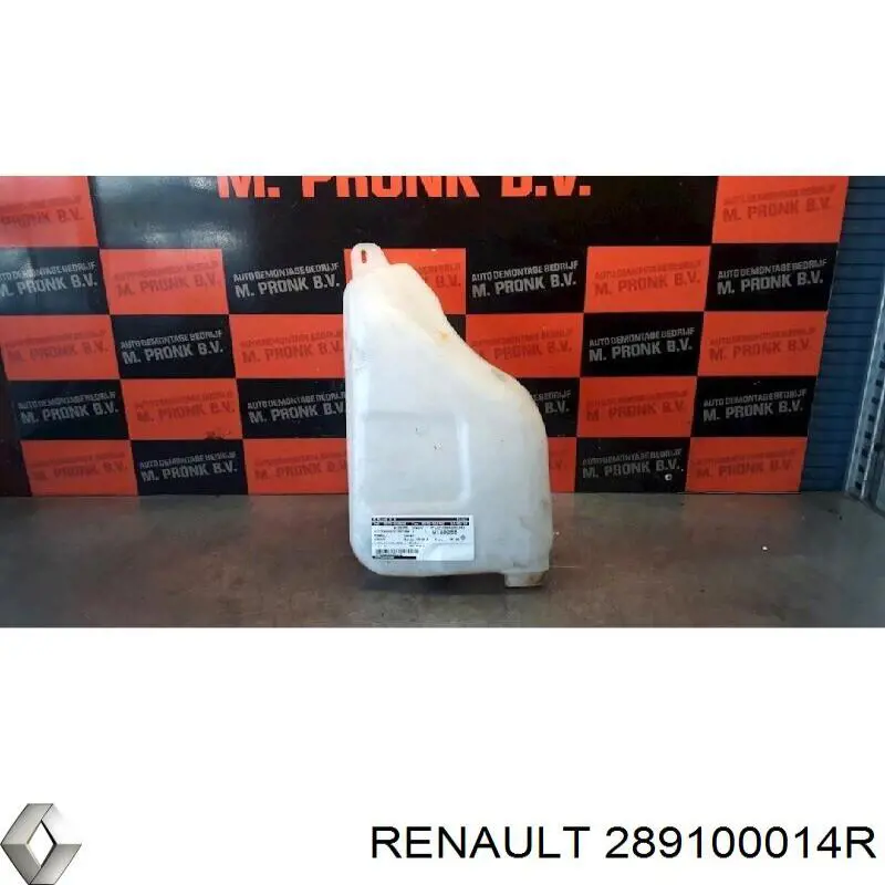 289100014R Renault (RVI)