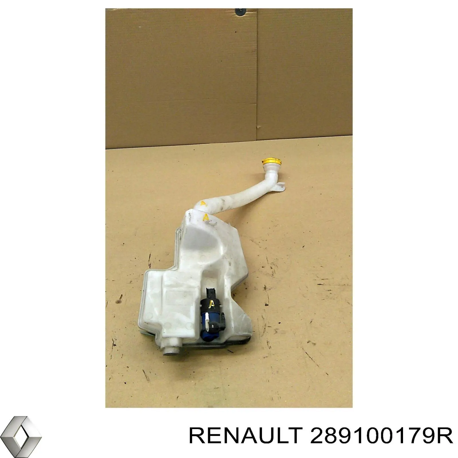 289100179R Renault (RVI)