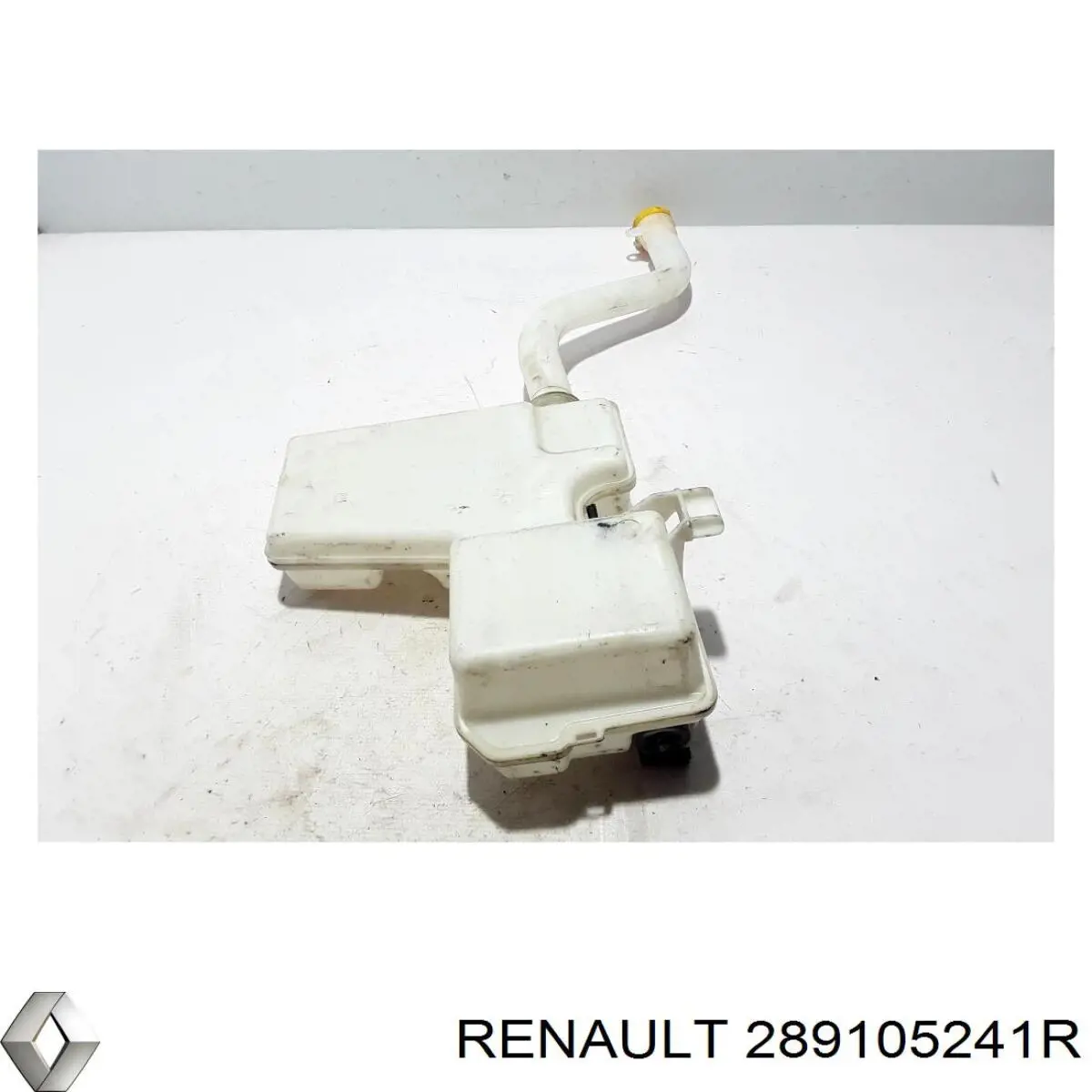 Deposito del lavaparabrisas Renault (RVI) 289105241R precio, desde 119,06 EUR