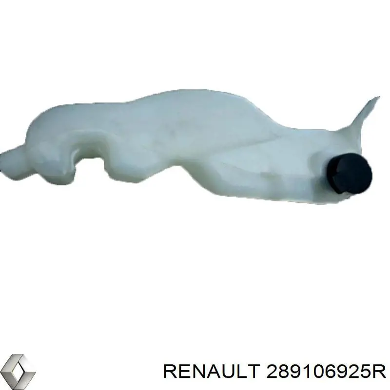 289106925R Renault (RVI)