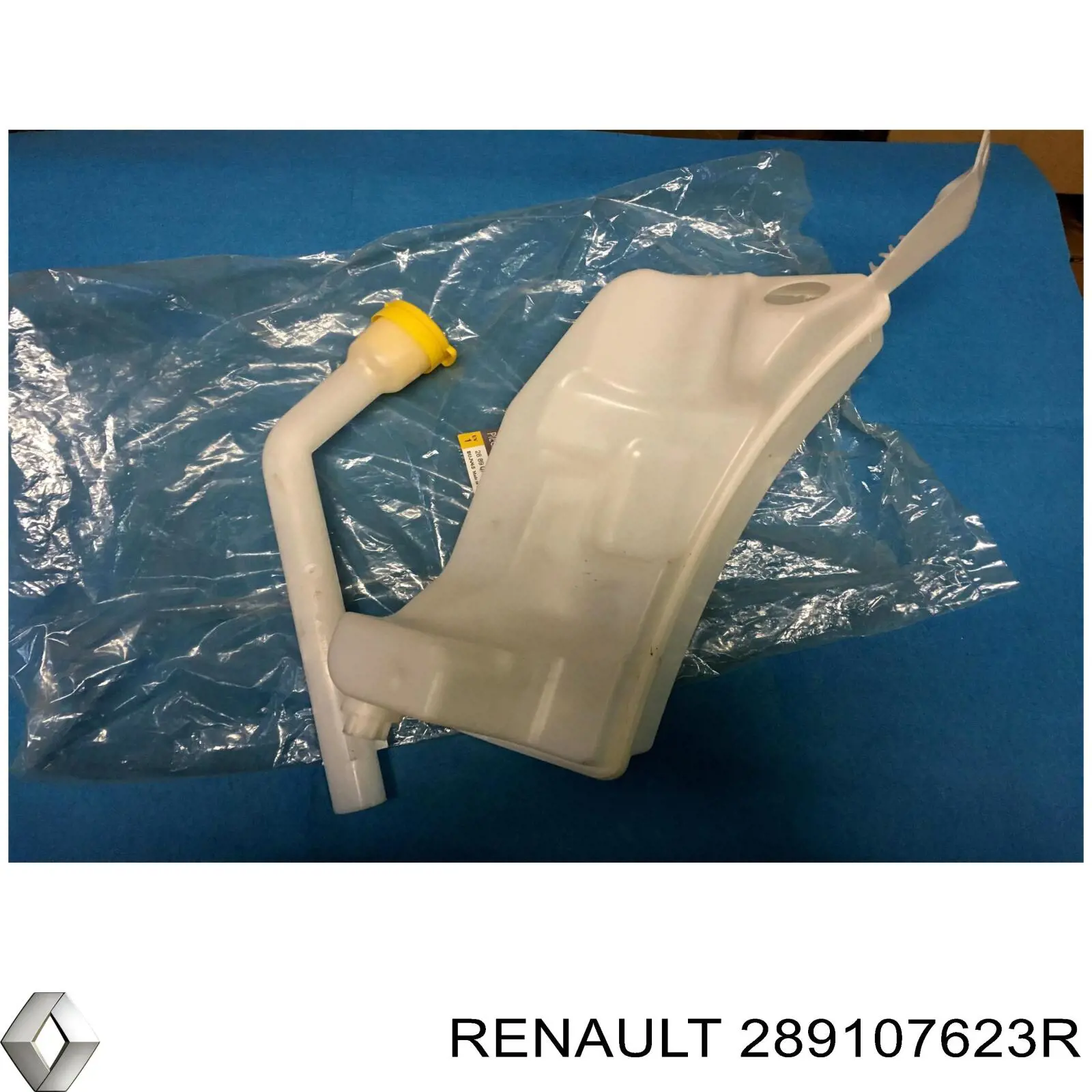 Deposito del lavaparabrisas Renault (RVI) 289107623R precio, desde 40,43 EUR