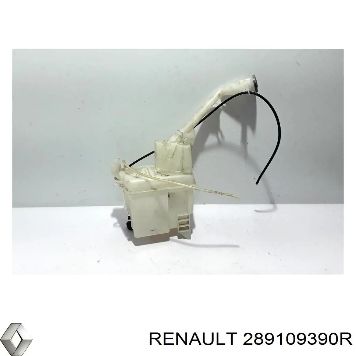 289109390R Renault (RVI)