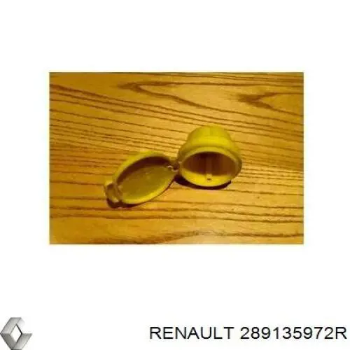 Comprar 289135972R Renault (RVI) Tapa de depósito de limpiaparabrisas