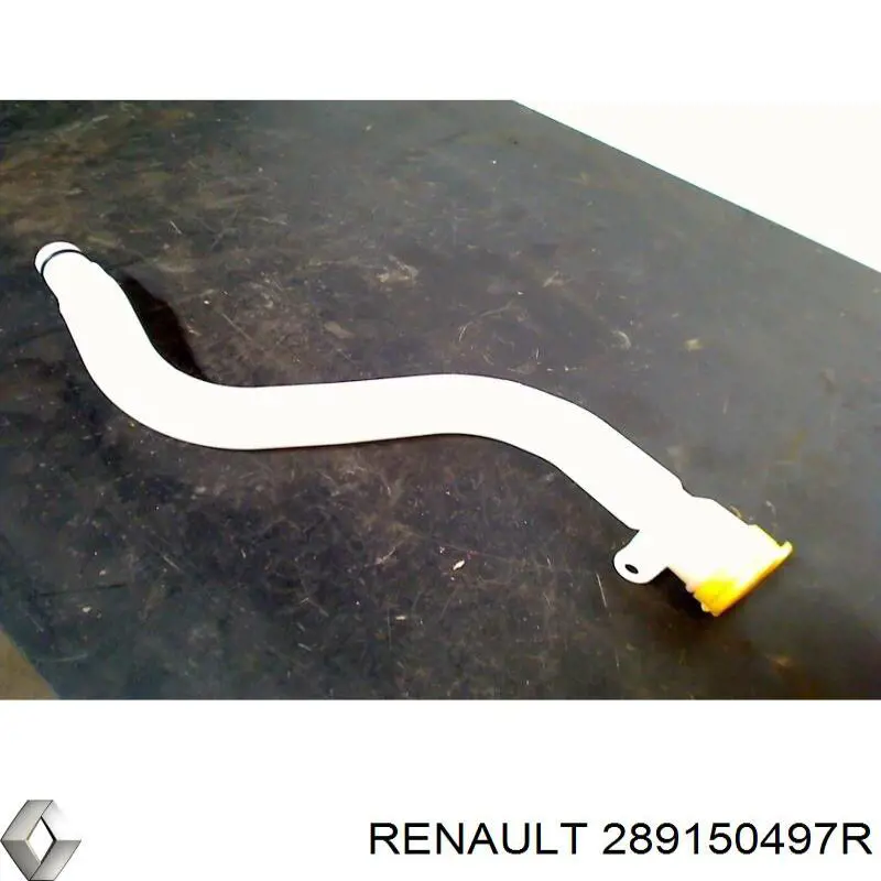 289150497R Renault (RVI)