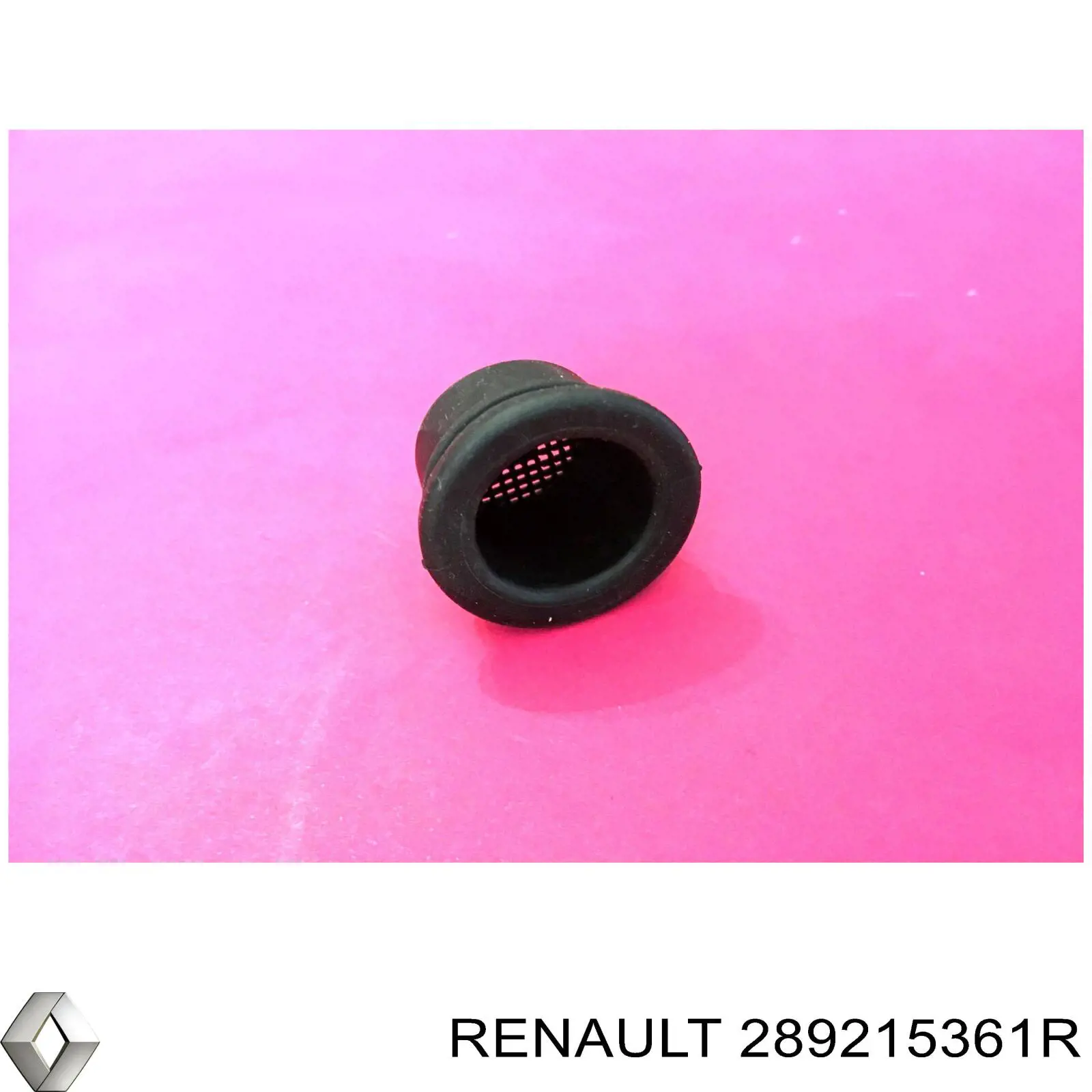 28 92 153 61R Renault (RVI) bomba de lavado de juntas tóricas