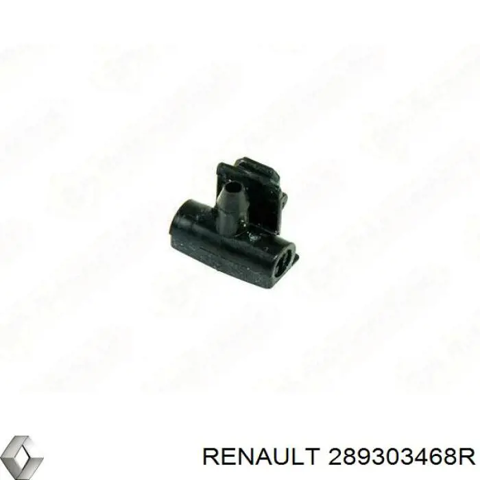 289303468R Renault (RVI) tobera de agua regadora, lavado de parabrisas