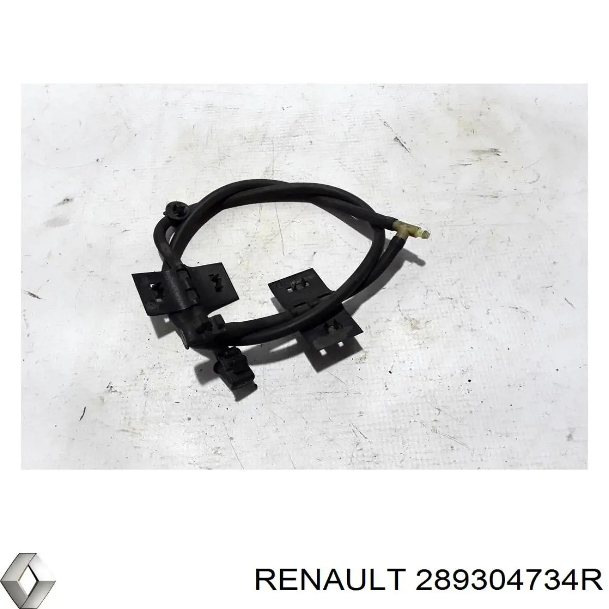 289304734R Renault (RVI)