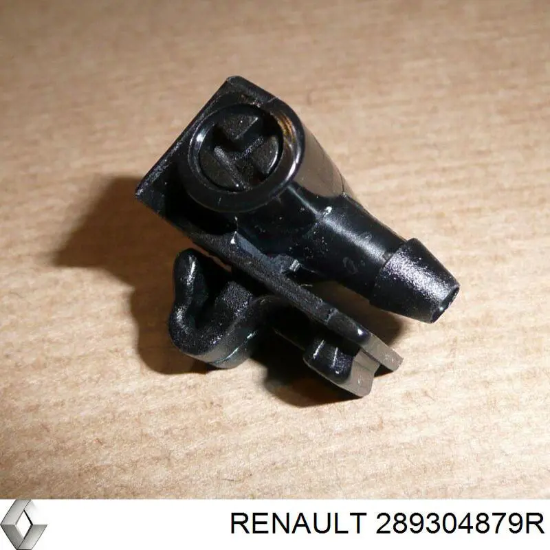 289304879R Renault (RVI) Boquilla del lavaparabrisas izquierda