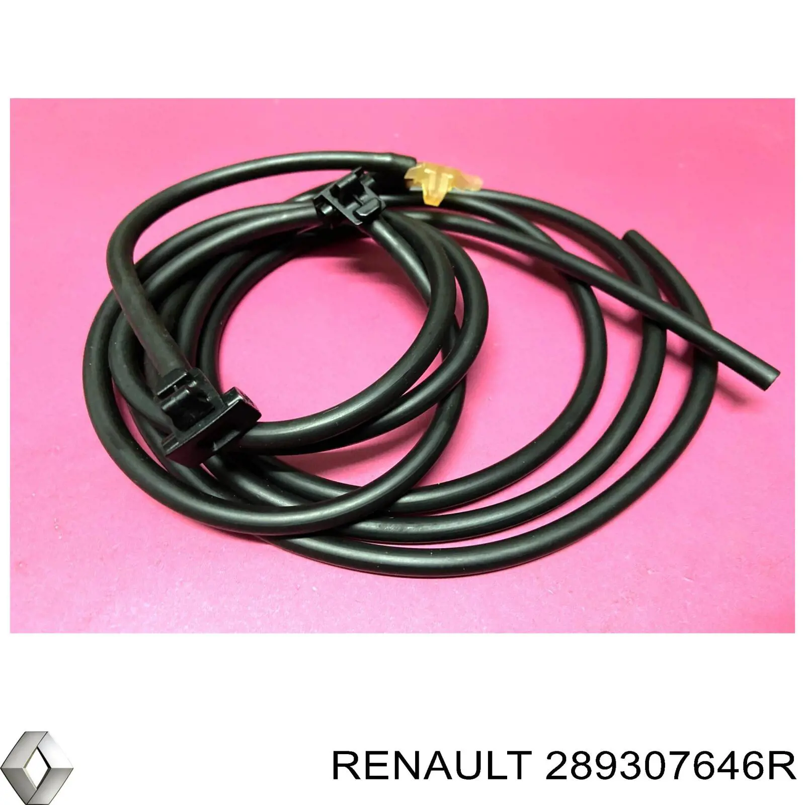 289307646R Renault (RVI) Boquilla del lavaparabrisas