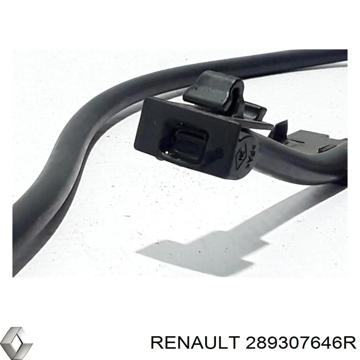 Boquilla del lavaparabrisas Renault (RVI) 289307646R precio, desde 32,93 EUR
