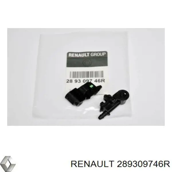 289309746R Renault (RVI)