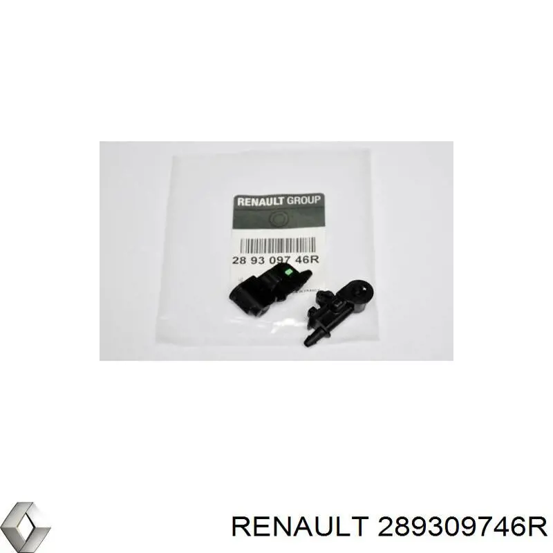 Boquilla del lavaparabrisas Renault (RVI) 289309746R precio, desde 20,72 EUR