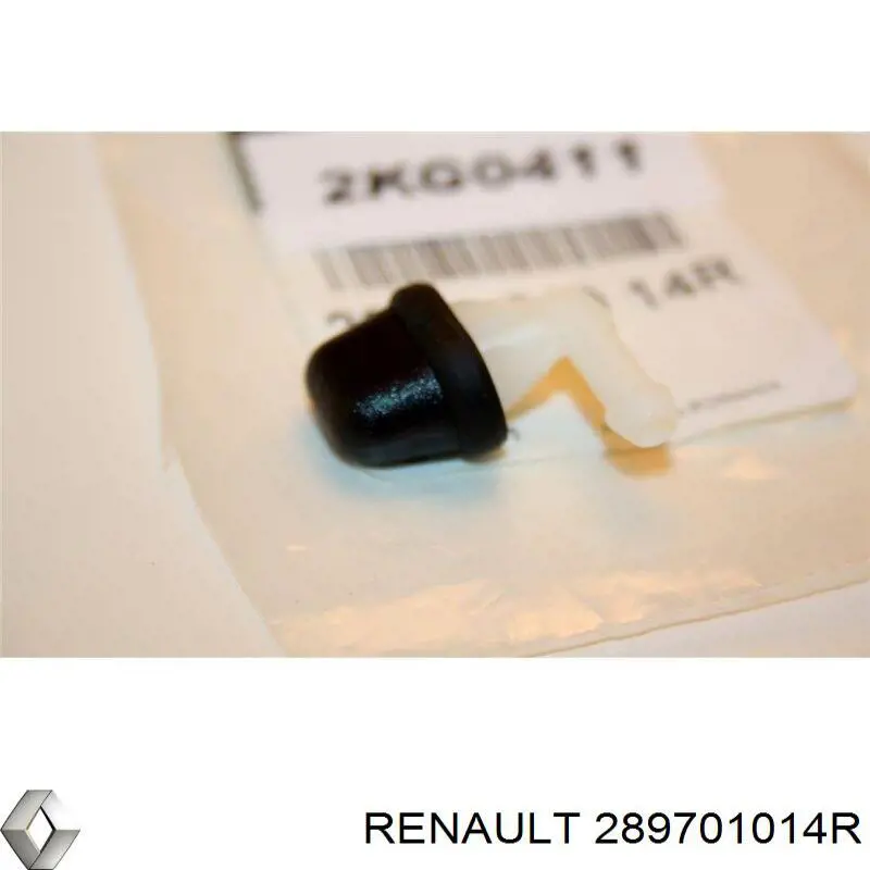 Boquilla del lavaparabrisas trasero Renault (RVI) 289701014R precio, desde 3,32 EUR