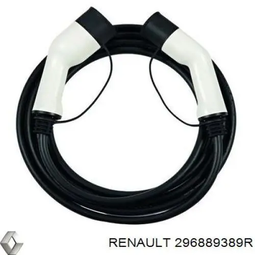 296889389R Renault (RVI)