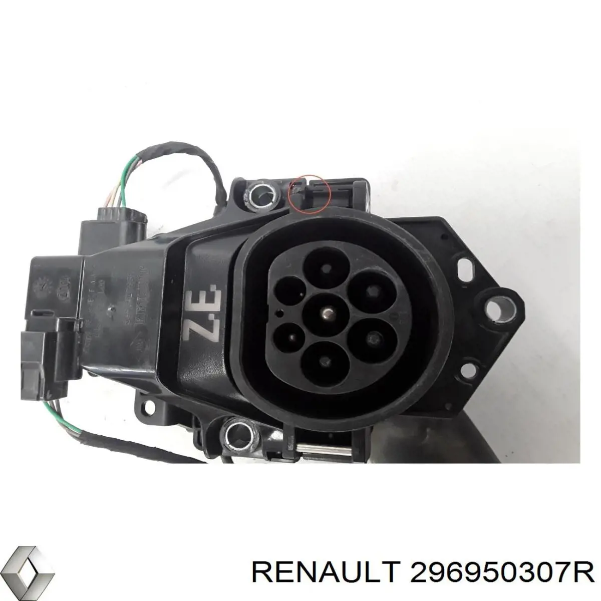 296950307R Renault (RVI)