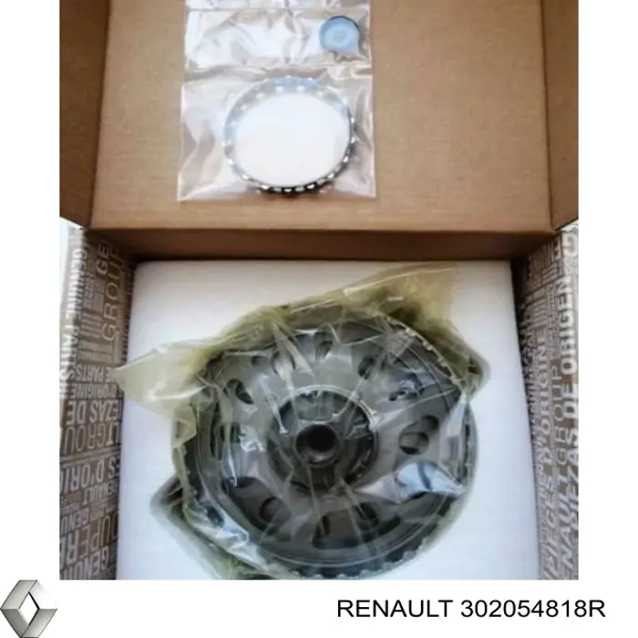 302054818R Renault (RVI)