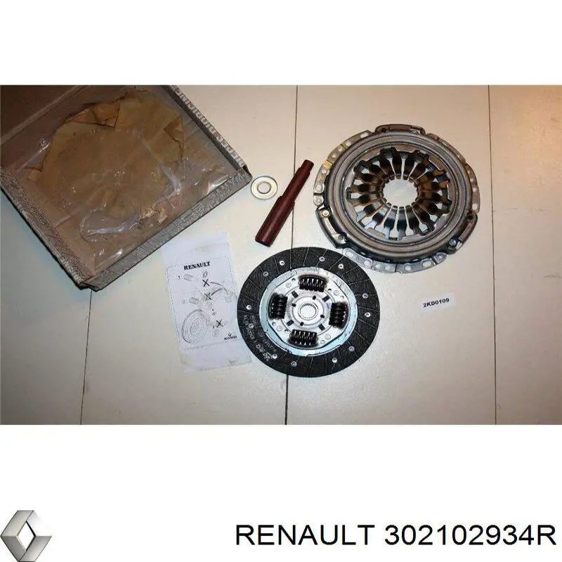 302102934R Renault (RVI)