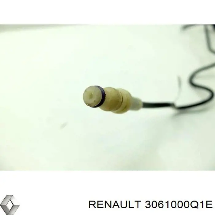 Cilindro de embrague Renault (RVI) 3061000Q1E precio, desde 53,91 EUR