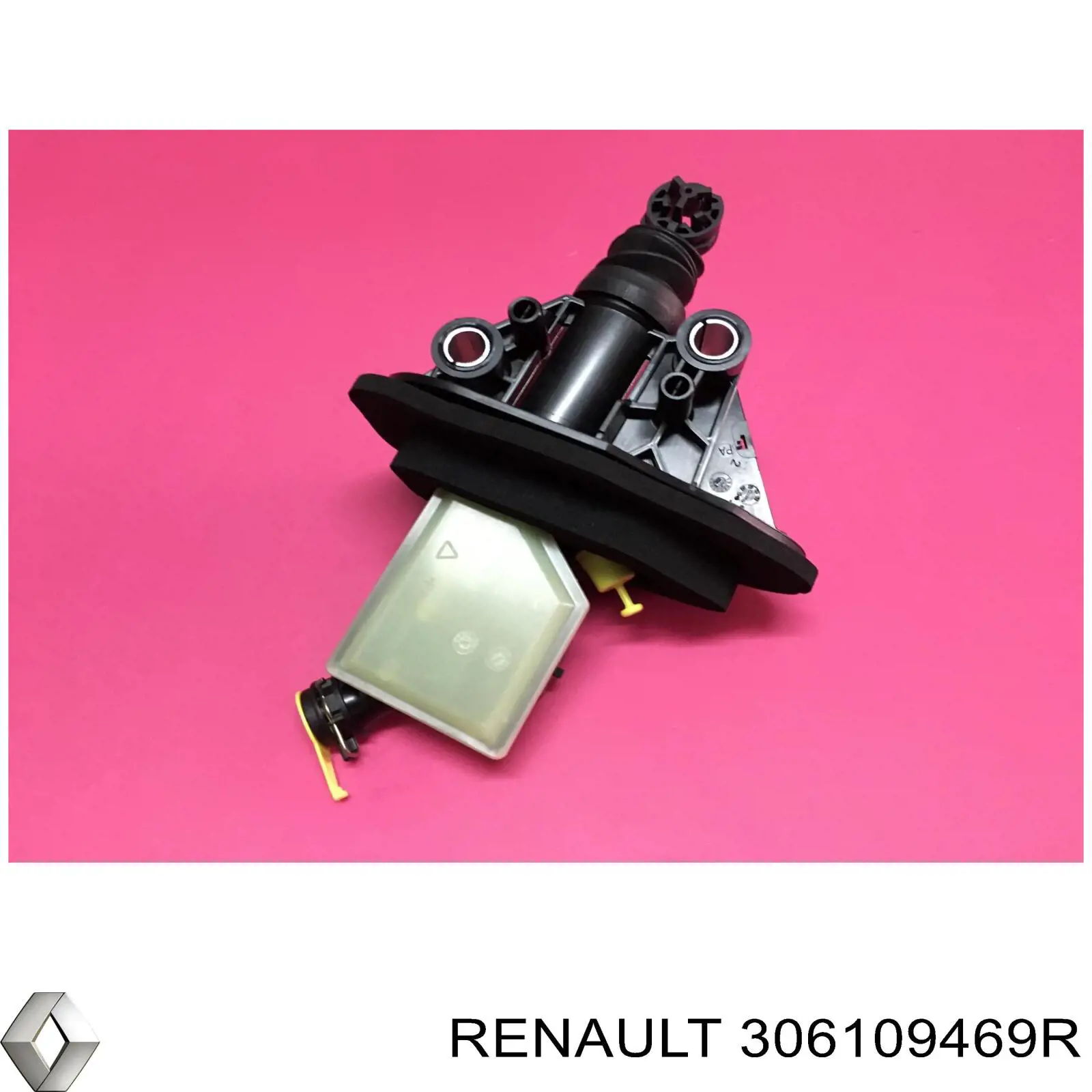 306109469R Renault (RVI)