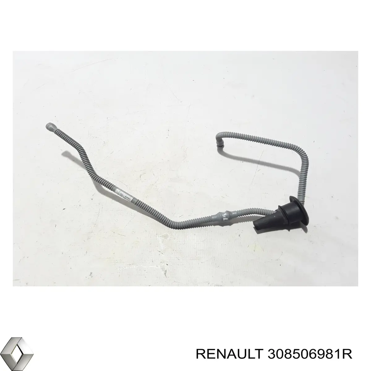 Conducto de embrague  Renault (RVI) 308506981R precio, desde 80,68 EUR
