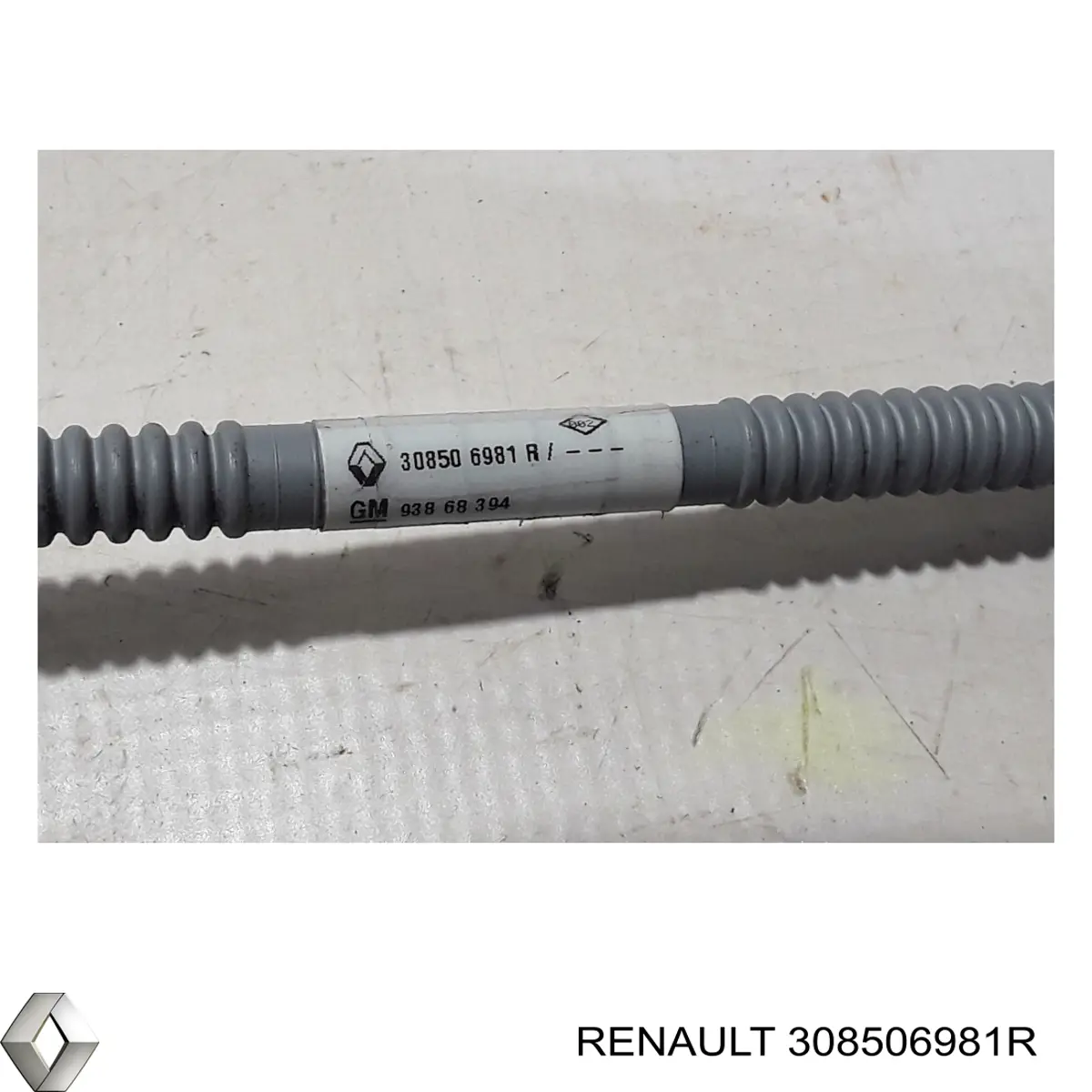 308506981R Renault (RVI)