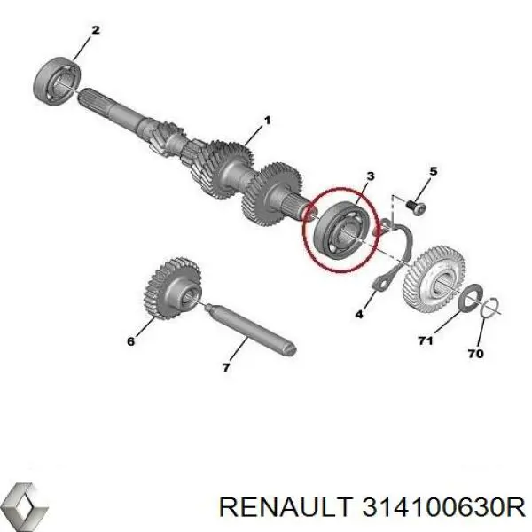 314100630R Renault (RVI)