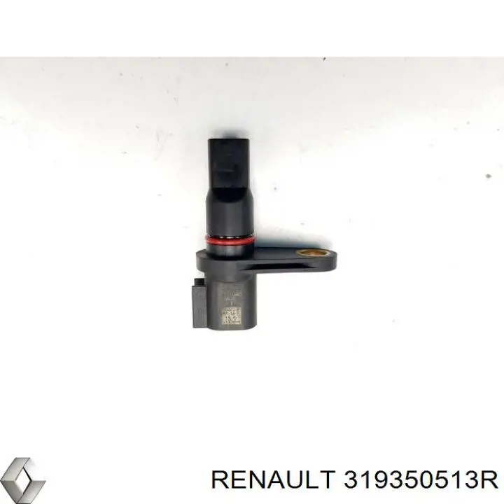 319350513R Renault (RVI)