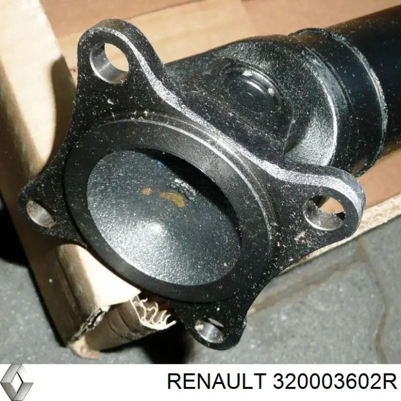 Comprar 320003602R Renault (RVI) 