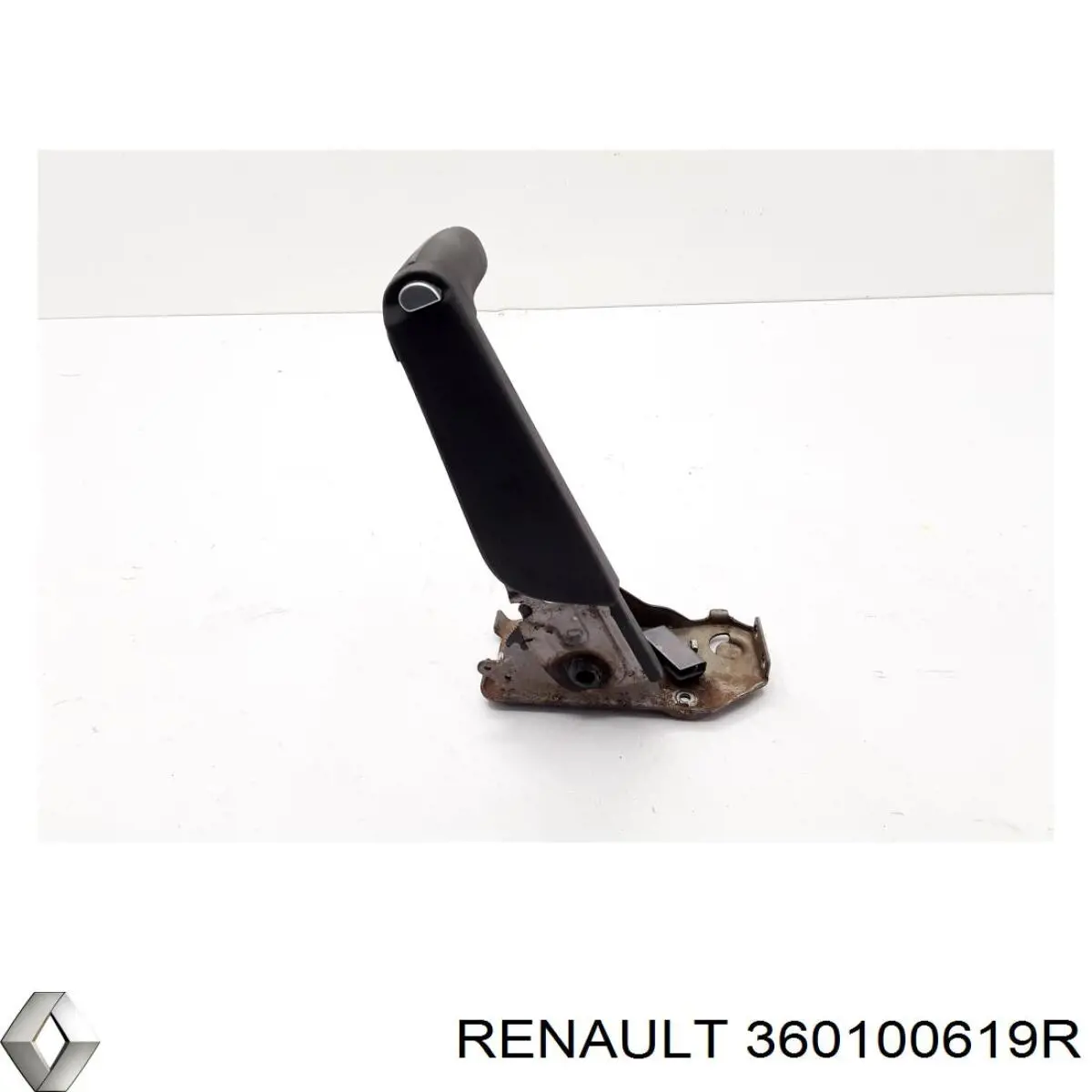 360100619R Renault (RVI)