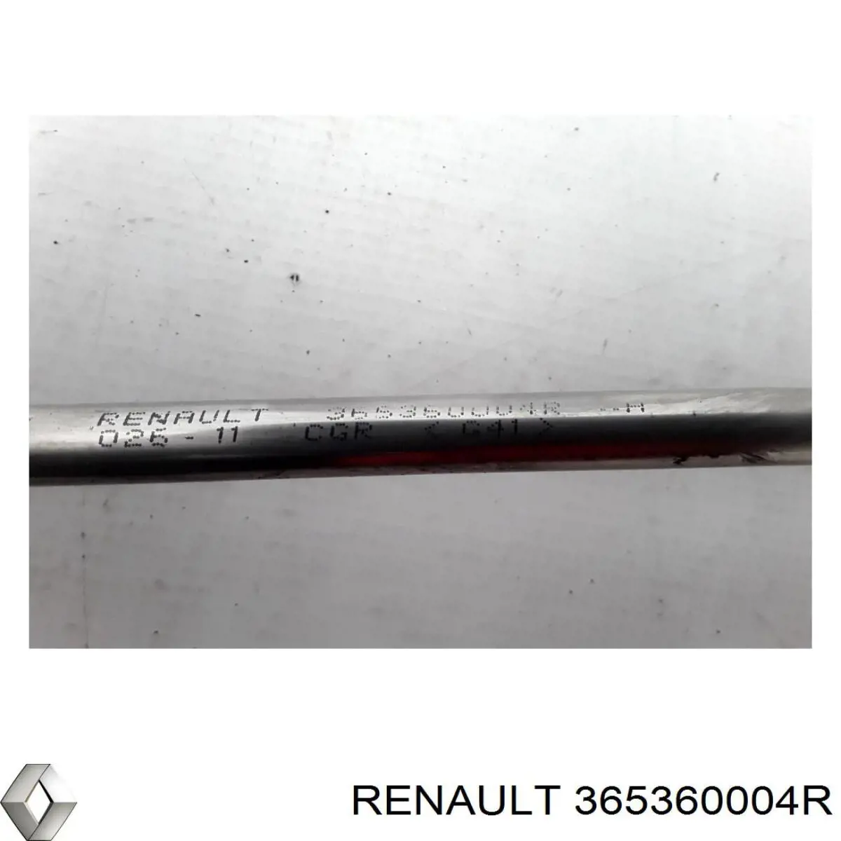 365360004R Renault (RVI)