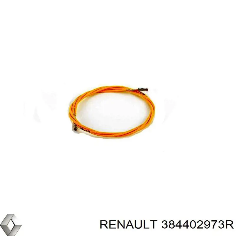384402973R Renault (RVI) cojinete de caja de transferencia engranaje de entrada