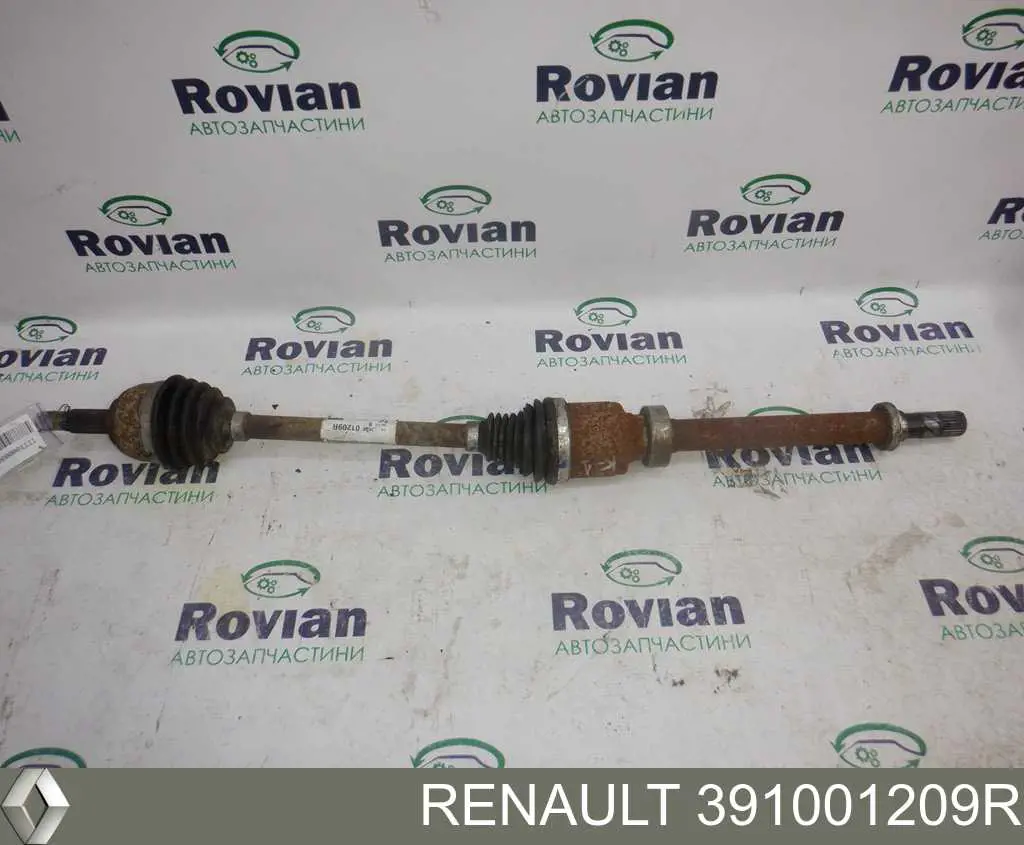 Semieje delantero derecho Renault (RVI) 391001209R precio, desde 66,79 EUR