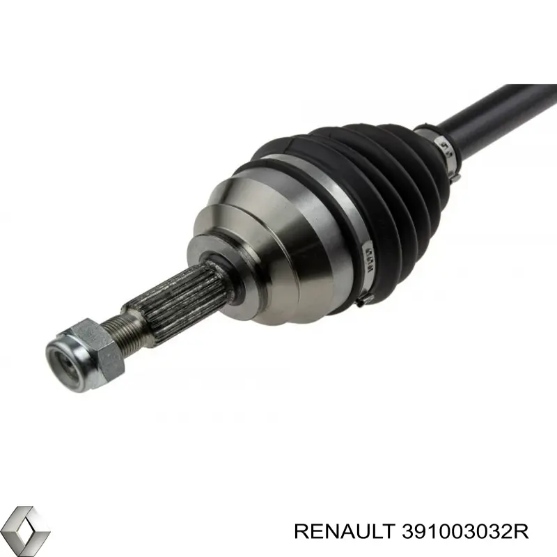 391003032R Renault (RVI)