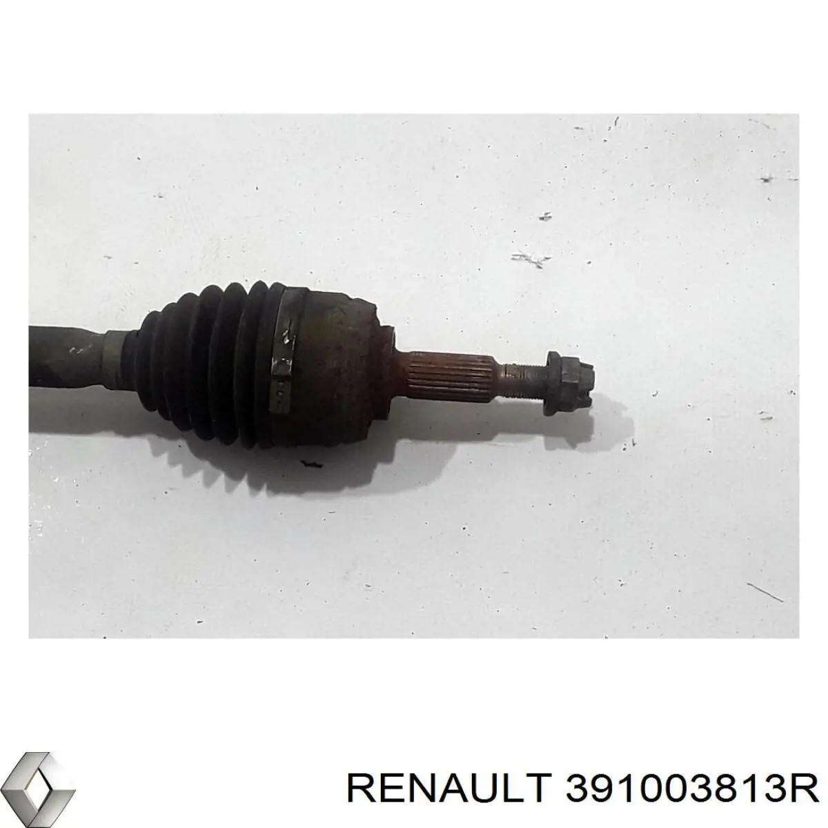 391003813R Renault (RVI)