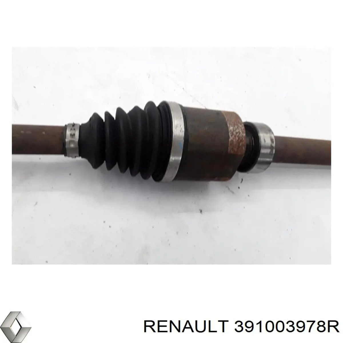 391003978R Renault (RVI)